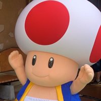 まあぴ* (@maapi_4) Twitter profile photo