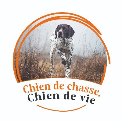 Meilleur ami de l'homme depuis des millénaires, les chiens de chasse nous accompagnent et marquent nos vies. Puissants, harmonieux, performants...