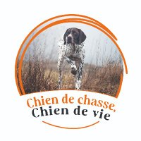 Chien De Chasse (@chiendechasse_) 's Twitter Profile