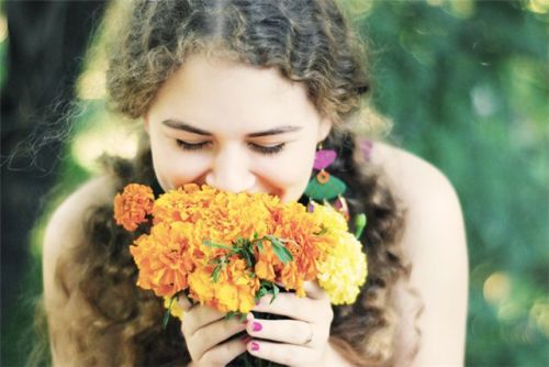 niceworlds's profile picture. 