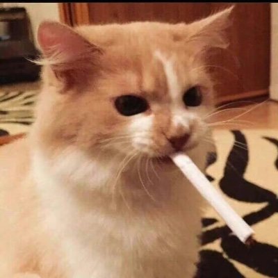 hellopanghe's profile picture. 