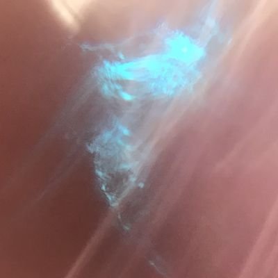 glittery3779's profile picture. 