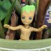 Paris Transplant Groot (@ParisTxGroot) Twitter profile photo