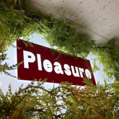 pleasure