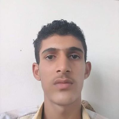 Network Engineer and Flutter Programmer and Node js Programmer