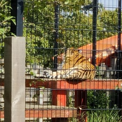 Tecknet33's profile picture. 