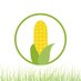 UswapCORN (@uswapcorn) Twitter profile photo UswapCORN (@uswapcorn) Twitter profile photo