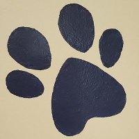WHSClassof2025 (@whsclassof2025) 's Twitter Profile
