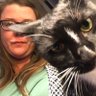Just_Jenna9's profile picture. College athletics media relations • Aspiring librarian • BA English - Kentucky ‘03 • MS Sport Admin. - Louisville ‘06 • MS Library Science - Kentucky ‘23