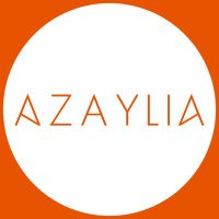 The Azaylia Foundation(@azayliafdn) 's Twitter Profileg