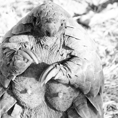 roideverpi1's profile picture. 