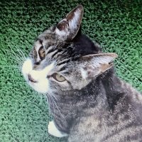 ジョバンニ (@2nqxuj566krzca0) 's Twitter Profile