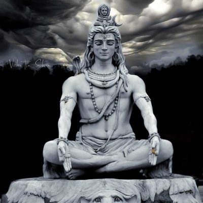 RohitMo42509696's profile picture. 