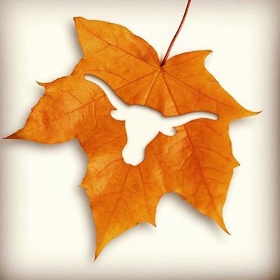 Personal Twitter feed. CTRMA related tweets can be followed at @CTXMobilityCEO.