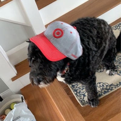 DeamonDragon414's profile picture. 