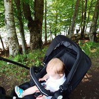 Hlyknsf (@hlyknsf) 's Twitter Profile