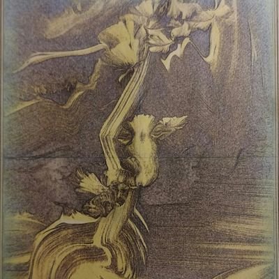 liveconart's profile picture. Born,65-74School.67-76Sport:https://t.co/0TkL0iAh9z,Countryband,state,Sports,awards.74-77capenter,Fa.25j.78Studies,to:Tech,paten,artdesign.10j.on.stage