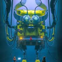 mocklielou's profile picture. 