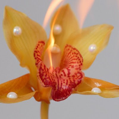 ibjhH4QIAjQhg27's profile picture. 