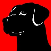 Blackdog Builders(@BlackdogBuildrs) 's Twitter Profile Photo