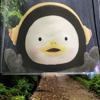 ps_jessia's profile picture. @ souljessia -계정잠김 ㅠㅠ  새계정 팔로잉 해주세오