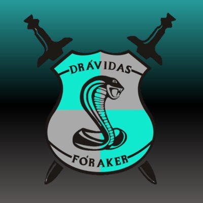 DravidasF's profile picture. Est. 1994
Aqua/Gris/Negro
¡Cobras Locas! 🐍
-Jefe: Angel Grimaldo