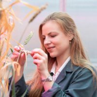Sarah Raffan (@raffansarah) 's Twitter Profile