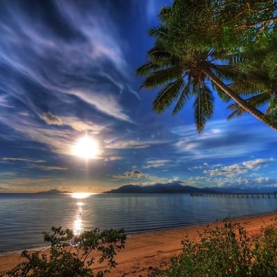 lreed1914's profile picture. 