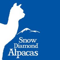 Snow Diamond Alpacas (@snowdiamondpaca) 's Twitter Profile