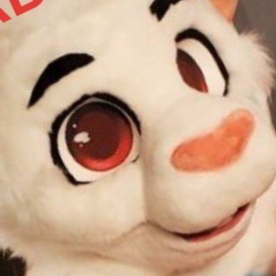 LaoDaMouseさんのプロフィール画像