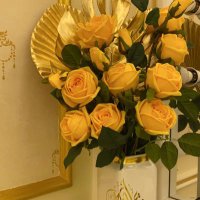 ساره الفارسيَ🤍 (@sarah73294167) Twitter profile photo