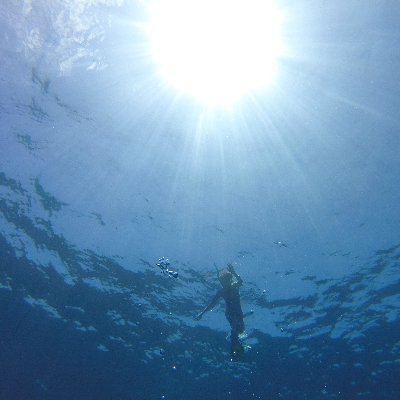Associate professor, Physical oceanographer @Sorbonne_Univ_ @LOCEAN_IPSL