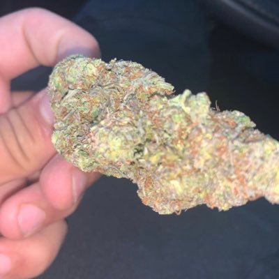 The best bud in Miami new account hmu by here or ig