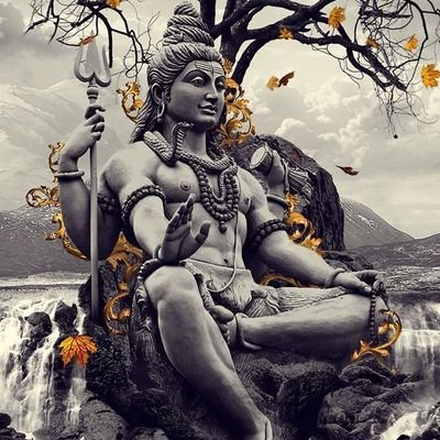 KumarrVikass's profile picture. Bitcoin Supporter