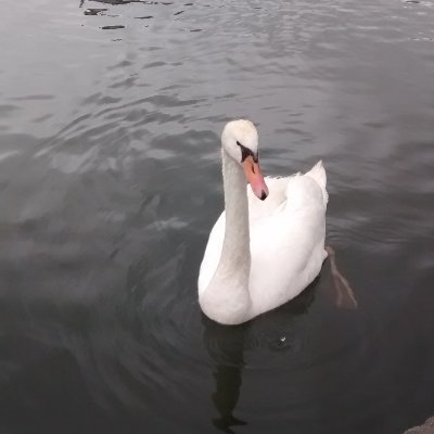 Ntinosti's profile picture. 