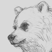 Y A N G (@nocvbart) 's Twitter Profile Photo Y A N G (@nocvbart) 's Twitter Profile Photo