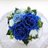 blue-roseのアイコン
