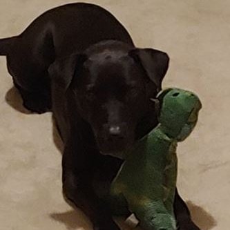 NotMyNestle's profile picture. Boy Dad, now FiL to three!! wonderful women.
God blesses even in our distresses
Eeyore was the hero in the 100 acre woods.