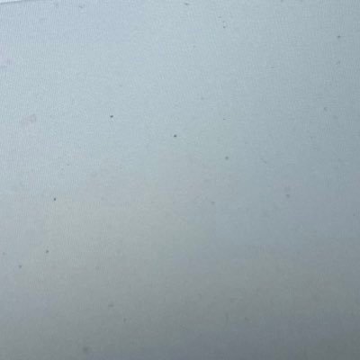 pinu237's profile picture. 