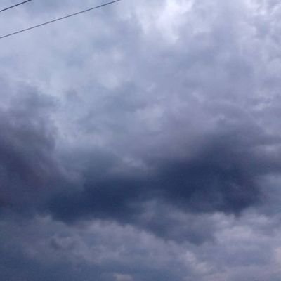 0AIWs2jbJ8BISRm's profile picture. 