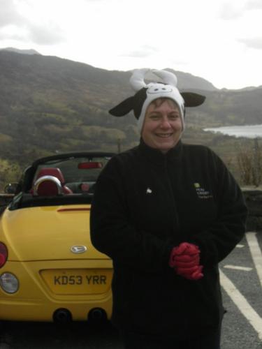 Niggit's profile picture. Veterinary receptionist who loves animals, reading and good food :)