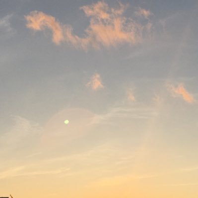 doris_f02's profile picture. 