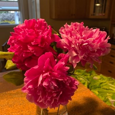 Type1NoBun's profile picture. Type 1 💉 Boat or Die ⚓ Italian American 🇮🇹 Believe Cleveland does indeed rock 🎶😍