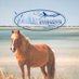 Coastal Carolina Riverwatch (@ccriverwatch) Twitter profile photo