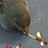 crooksten's profile image