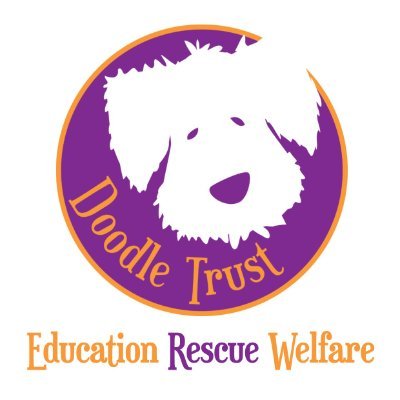 Doodle Trust is the UK's original Doodle rescue charity. We work without prejudice and with empathy for the rehoming of all Poodle cross dogs.