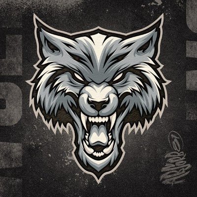 equipo competitivo centrado en los E-Sports, #FEARTHEWOLVES