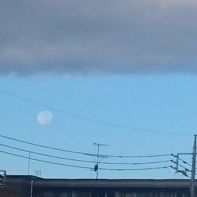 fumoufumotan's profile picture. 難しい世の中
関東