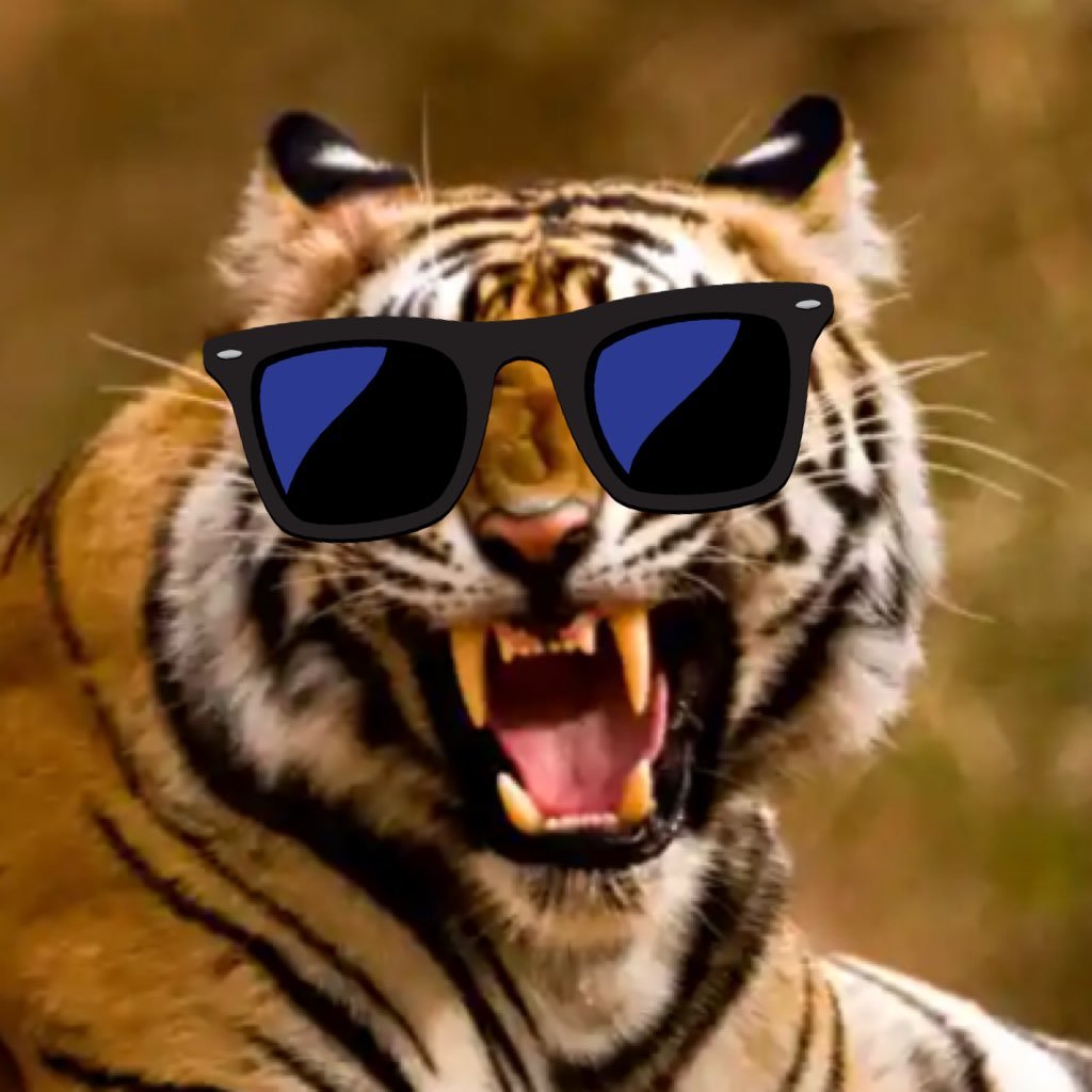 IrishTiger15 Profile Picture