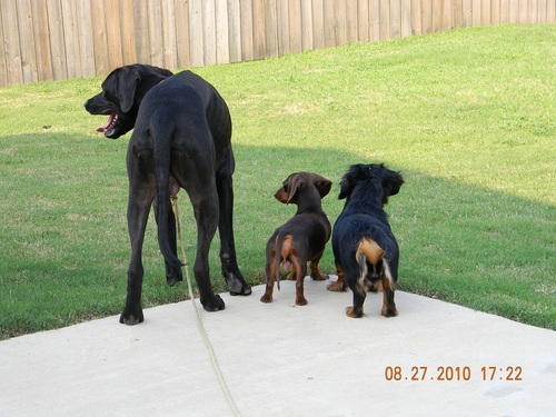 rcodya's profile picture. Yeah, I'm chillin' on a dirt road,
Laid back swervin' like I'm George Jones.